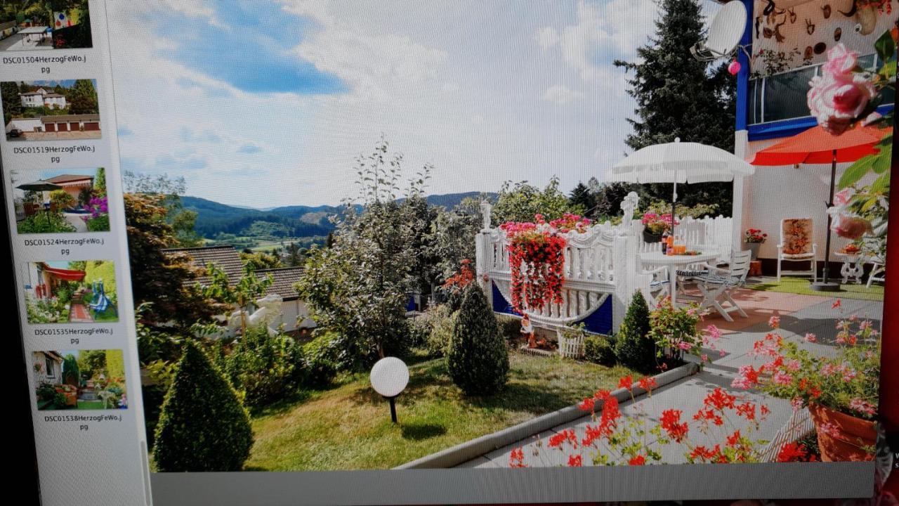 Ferienhaus Haus Herzog Titisee-Neustadt Exterior foto